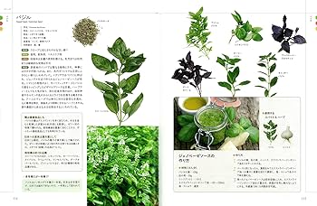 Amazon.co.jp: ハーブ&スパイス事典: 世界で使われる256種